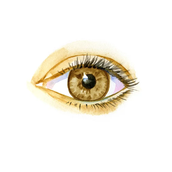 Watercolor artwork of eye. Hand drawn illustration — Stock Photo, Image