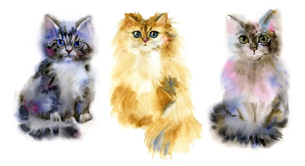 Illustrasjon med søte katter. Vannfarge. Håndtegnet . – stockfoto