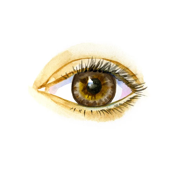 Watercolor artwork of eye. Hand drawn illustration — Stock Photo, Image