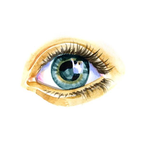 Acuarela obra de arte de ojo. ilustración dibujada a mano —  Fotos de Stock