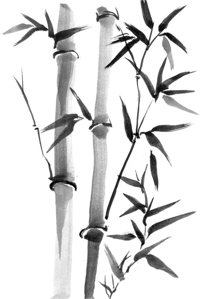 Bambusz fák kézzel rajzolt szabadkézi, japán stílusú sumi-e festés. — Stock Fotó