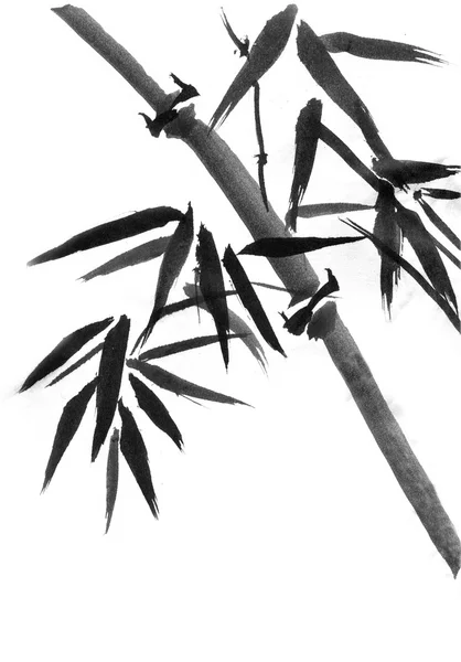 Árboles de bambú dibujados a mano, tinta, pintura japonesa estilo sumi-e . — Foto de Stock