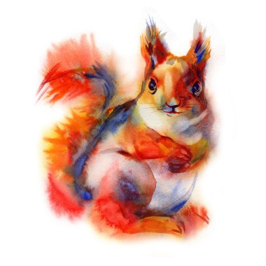 Beyaz bir arka plan üzerinde suluboya izole sincap