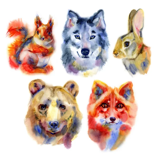 Set of forest animals. Watercolor illustration in white background. — Stock Photo, Image