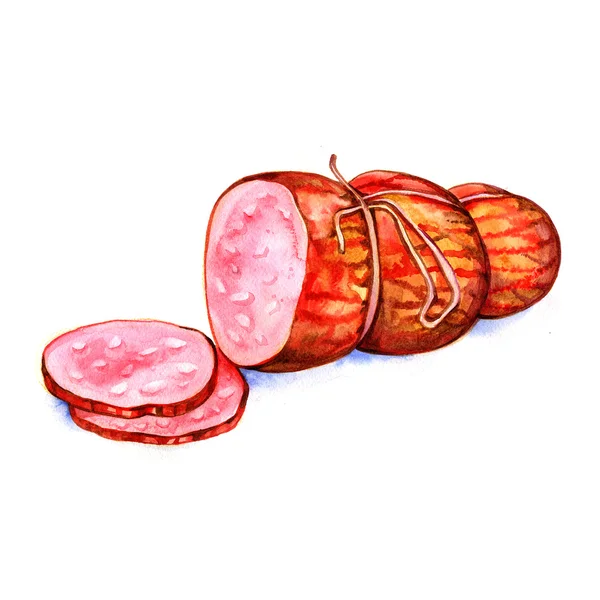 Akvarell kött, korvar salami på vit bakgrund — Stockfoto