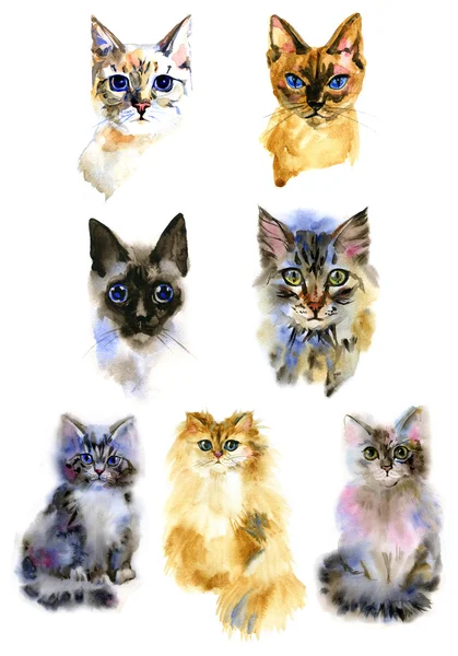 Conjunto de aquarela Isolado mão desenhado gatos Imagens Royalty-Free