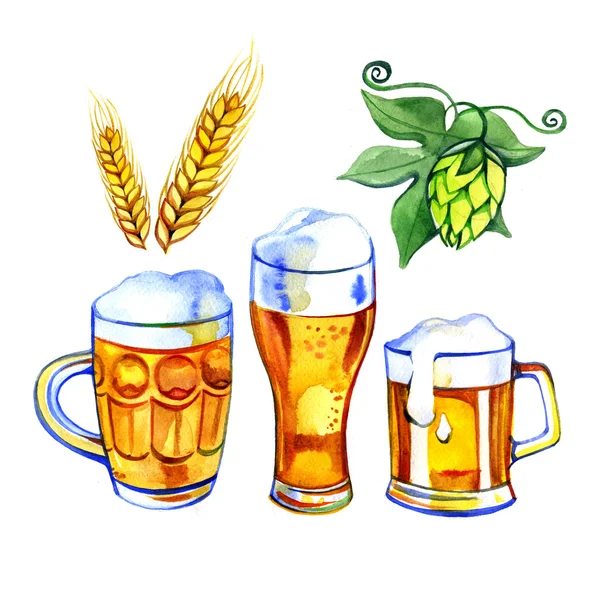 Pint öl, glas mugg, humle och malt akvarell — Stockfoto