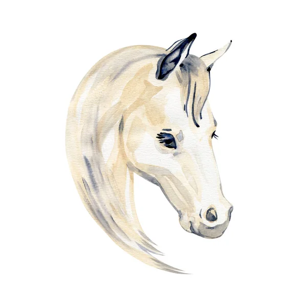 Aquarell-Gemälde von Pferdeporträt isoliert auf weißem Hintergrund. — Stockfoto