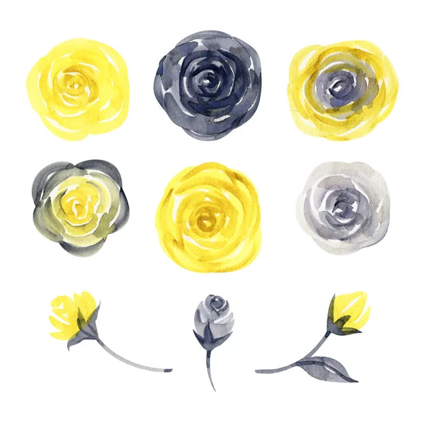 Akwarela ręcznie malowane żółte i szare róże z liśćmi — Zdjęcie stockowe