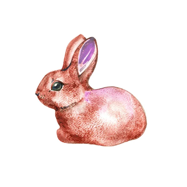 Akvarel ilustrace s roztomilým zajíčkem izolované na bílém pozadí. Karta na Velikonoce — Stock fotografie