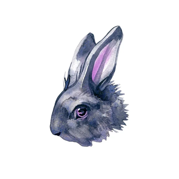 Akvarell illustration med söt kanin isolerad på vit bakgrund. Kort för påsk — Stockfoto