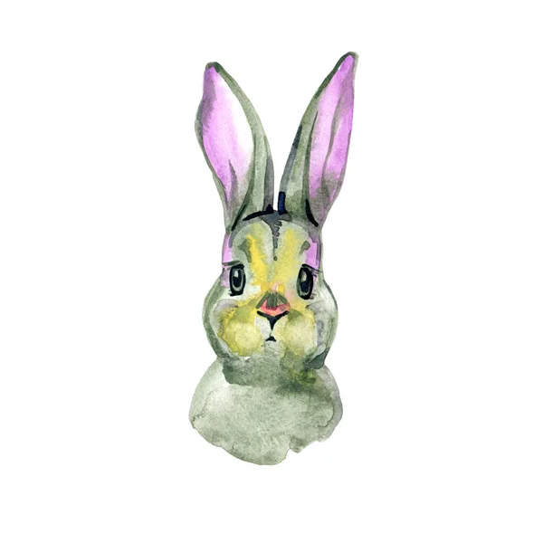 Illustration aquarelle avec lapin mignon isolé sur fond blanc. Carte pour Pâques — Photo