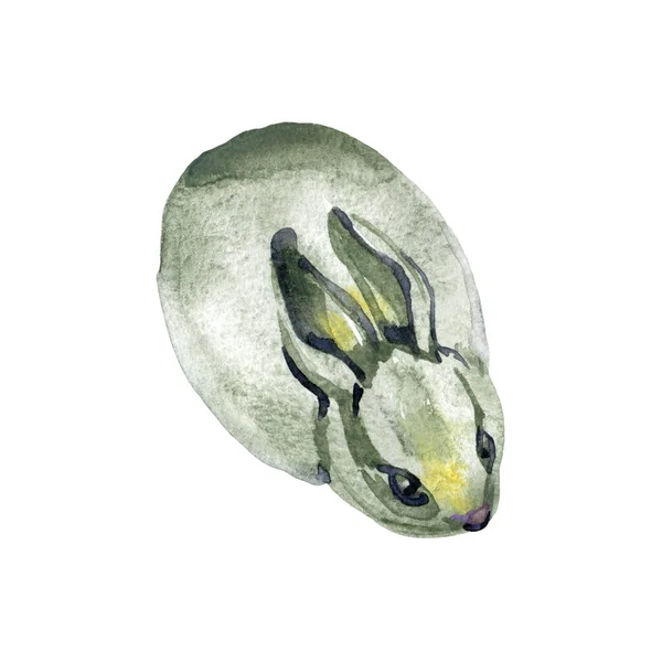 Ilustración de acuarela con lindo conejito aislado sobre fondo blanco. Tarjeta para Pascua —  Fotos de Stock