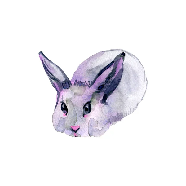 Акварельная иллюстрация с милым кроликом на белом фоне. Открытка на Пасху — стоковое фото
