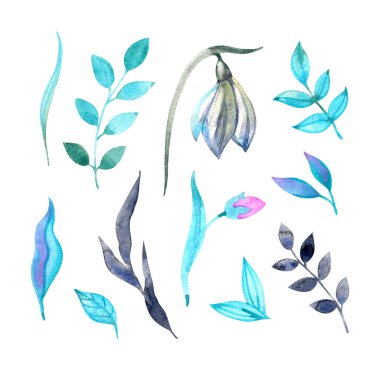 Bitkilerle suluboya çiçek seti, çiçekli elementler. Klasik mavi yapraklar, çiçekler ve dallar. El çizimi tasarım illüstrasyonu