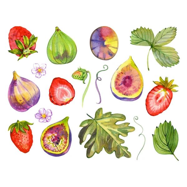 Aquarel Aardbeien en vijgen set. Vers dessert, fruit en bessen. Heldere geïsoleerde illustratie op de lichte achtergrond. Verzameling van fruit — Stockfoto