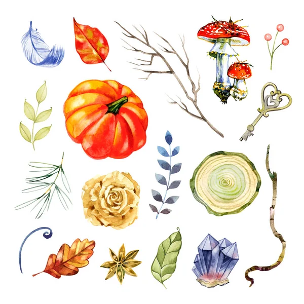 Set di zucca arancione acquerello, funghi, foglie autunnali, bacche mature rosse e rami di abete. autunno foresta floreale elementi decorativi isolati su sfondo bianco — Foto Stock