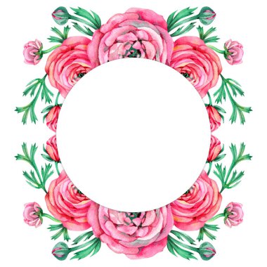 Düğün davetiyesi şablonu Suluboya pembe ranunculus çiçek arkaplanı gelin partisi bebek hediye partisi doğum günü kartı için.