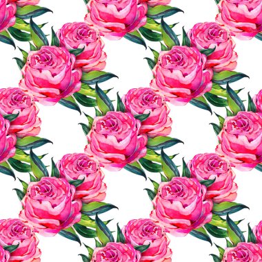 Suluboya gül rengi şakayık çiçekli, yapraklı kusursuz desen. Çiçek arkaplan dokusu.