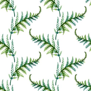 Eğreltiotu yapraklı Fern Yaprağı Yaprak El, Kusursuz Desenli Arka plan Çizimi, Yeşil eğreltiotu yapraklı, suluboya arka plan, elle boyanmış, orman tropikal tasarımı.