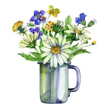 Kırsal bir fincanda güzel kır çiçeklerinin olduğu bir demet çizim, beyaz bir arka planda suluboya ile izole edilmiş bir el..
