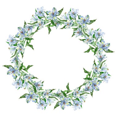 Narin beyaz ve açık mavi alstromerya çiçeklerinden yapılmış zarif suluboya çelenkler yumuşak dairesel bir çerçevede dizilmiş. Yemyeşil yapraklar tazelik katar, tasarımı düğün kırtasiyeleri, davetiyeler ve markalaşma için mükemmel hale getirir.