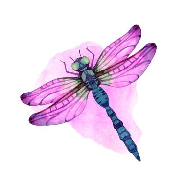 Narin pembe ve menekşe kanatlı suluboya yusufçuk, detaylı vücut dokusu ve yumuşak sanatsal gölgelendirme. El yapımı böcek çizimi botanik tasarımlar, doğa temaları, davetiyeler ve yaratıcı projeler için mükemmeldir.