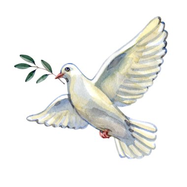 Zeytin dalı taşıyan beyaz bir güvercinin suluboya çizimi barış, umut ve uzlaşmayı sembolize ediyor. Ruhani projeler, kutlama kartları, kilise grafikleri ve ilham verici tasarımlar için ideal.