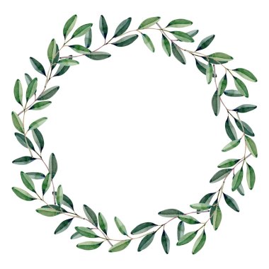 Zeytin çelenginin suluboya çizimi barışı, birliği ve geleneği simgeliyor. Davetiyeler, logolar, kilise malzemeleri, ambalaj ve dekoratif projeler için uygun şık botanik tasarımı