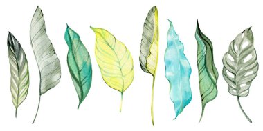 Yeşil, sarı ve turkuaz tonlu tropikal yaprakların suluboya koleksiyonu. Botanik baskılar, yaz tasarımları, orman temaları ve doğal dekor projeleri için mükemmel.