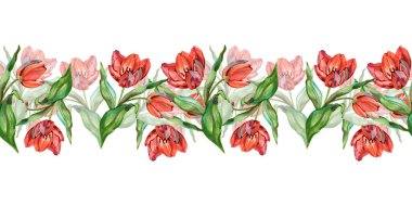 Suluboya lale çiçeksiz sınır, canlı kırmızı yapraklar ve yemyeşil yapraklar. Düğün kırtasiyesi, ambalaj, tebrik kartları, kumaş tasarımı, markalaşma ve bahar projeleri için uygun şık botanik dekorasyonu.