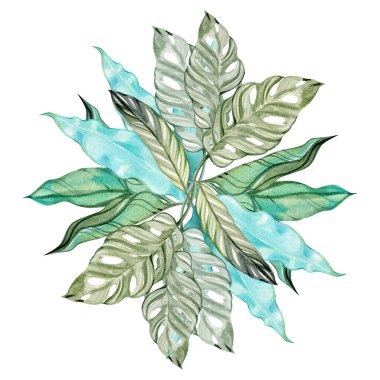 Suluboya tropikal yaprak düzenleme, canavarlar, kalathea ve soyut yeşil ve turkuaz tonlarda yeşillikler içerir. Botanik tasarım, markalaşma, ambalaj ve zarif doğal temalar için mükemmel.