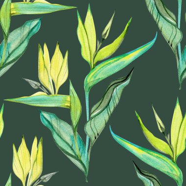 Zarif strelitzia yaprakları ve canlı yeşil ve turkuaz tonlarda tomurcukları olan dikişsiz suluboya deseni. Yumuşak elle boyanmış botanik elementler kumaşlar, ambalaj kağıtları ve dekorlar için mükemmel bir tropikal tasarım yaratır.