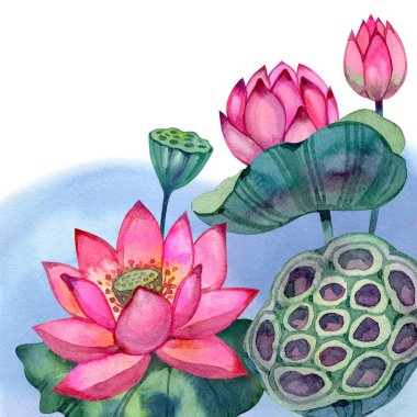 Mavi suda süzülen suluboya nilüferler, hafif dalgalanmalara yansıyor. Yumuşak pembe yapraklar, huzurlu bir ruh hali ve meditasyon enerjisi. Sağlık tasarımı, spa markalaşması, kartlar, posterler ve sakinleştirici görseller için ideal.