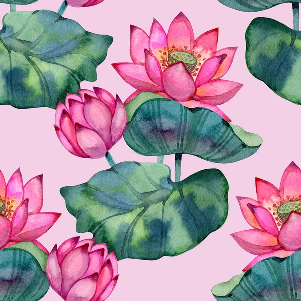 Çiçek açan pembe nilüfer çiçekleri, yemyeşil yapraklar ve tohum kabukları ile sulu boya desenleri. Botanik tasarım tekstil, sağlık temaları, spa baskıları, duvar kağıtları ve zarif doğal yüzeyler için uygundur.