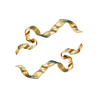 Dalgalı, bükülmüş iki altın kurdelenin suluboya çizimi. Bu zarif dekoratif elementler yumuşak kahverengi ve mavi yansımalarla el boyaması altın rengine sahip olup hassas bir ipek ya da metalik doku oluştururlar.