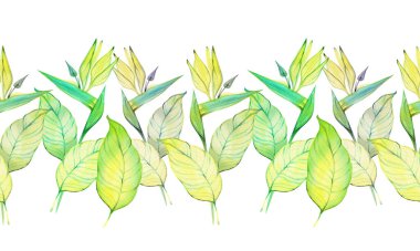 Suluboya tropikal yapraklar verimli bir botanik sınır oluşturuyor. Canavar, strelitzia ve yeşillik doğal bir dekoratif çerçeve oluşturur. Davetiyeler, tropikal tasarımlar, ambalaj ve yaz temalı projeler için mükemmel