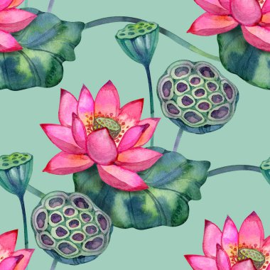 Çiçek açan pembe nilüfer çiçekleri, yemyeşil yapraklar ve tohum kabukları ile sulu boya desenleri. Botanik tasarım tekstil, sağlık temaları, spa baskıları, duvar kağıtları ve zarif doğal yüzeyler için uygundur..