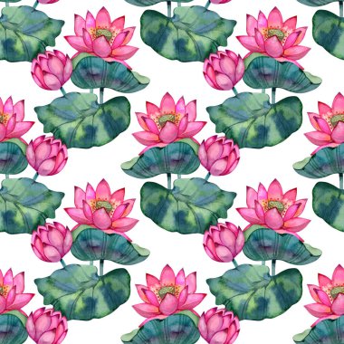 Açık pembe nilüfer çiçekleri, yeşil yapraklar ve tohum kabukları ile sulu boya desenleri. Asyalı botanik motiflerinden esinlenerek tekrarlanan zarif çiçek tasarımı. Tekstil, ambalaj kağıdı ve yüzey tasarımı için mükemmel