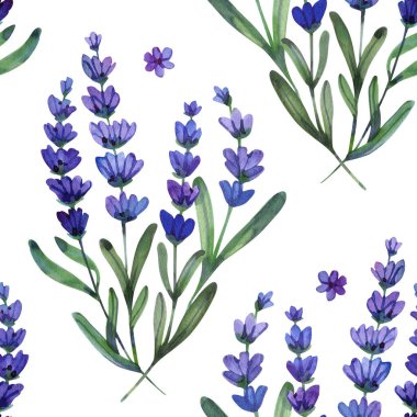 Kusursuz suluboya desenli. Zarif lavanta dalları içeriyor. Tasarım narin mor çiçekler ve yumuşak yeşil sapları sergiliyor dengeli, tekrarlayan bir düzende dizilmiş, taze ve romantik botanik estetik