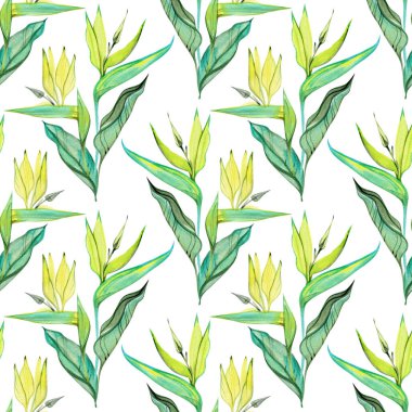 Zarif strelitzia yaprakları ve canlı yeşil ve turkuaz tonlarda tomurcukları olan dikişsiz suluboya deseni. Yumuşak elle boyanmış botanik elementler kumaşlar, ambalaj kağıtları ve dekorlar için mükemmel bir tropikal tasarım yaratır.