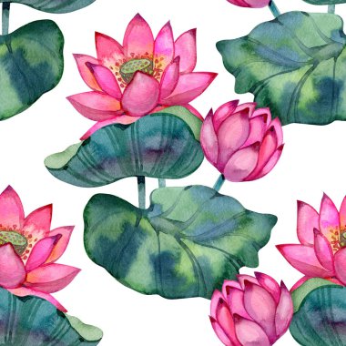 Parlak suluboya nilüfer desenli canlı pembe çiçekler ve yemyeşil yapraklar. Zarif botanik tasarımı tekstil, ambalaj, kırtasiye, yüzey baskıları, d cor ve yaratıcı projeler için mükemmeldir.