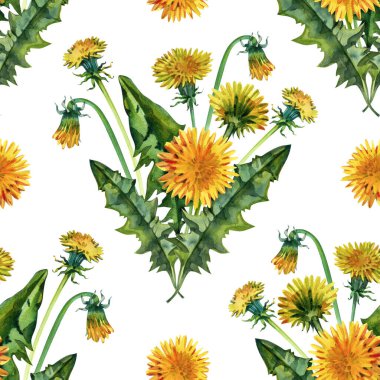 Pırıl pırıl sarı karahindibalar ve yemyeşil yapraklarla kusursuz suluboya deseni. Bahar tekstili, ambalaj kağıdı, kırtasiye ve dekoratif yüzey tasarımı için mükemmel botanik desenleri.