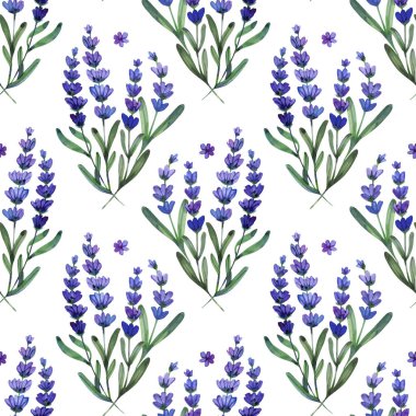 Beş yapraklı küçük, mor bir kır çiçeğinin suluboya çizimi. El boyaması botanik element yumuşak menekşe eğimlerine sahiptir..