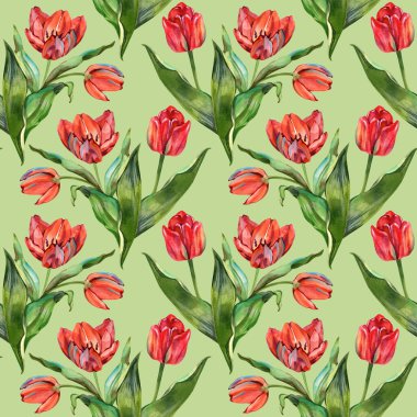 Canlı kırmızı laleler ve yemyeşil yapraklar içeren zarif, dikişsiz suluboya desenli. El boyaması botanik tasarımı. Tekrarlanan fayansları var. Bahar tekstili, romantik duvar kağıdı ve çiçek ambalajı için mükemmel.