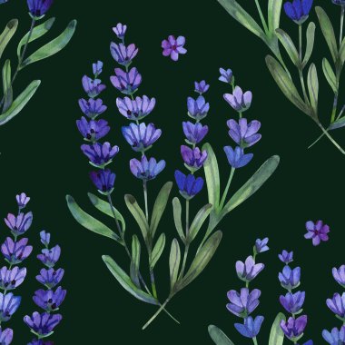 Beş yapraklı küçük, mor bir kır çiçeğinin suluboya çizimi. El boyaması botanik element yumuşak menekşe eğimlerine sahiptir..