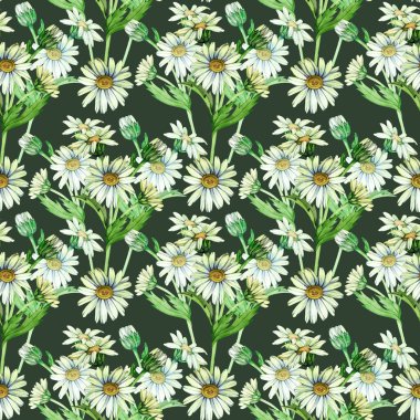 Kusursuz desenli, zarif suluboya papatyalar ve beyaz arka planda yeşil yapraklar. Bu hafif, havadar tasarım tekstil, duvar kağıtları ve zarif ambalajlar için mükemmeldir.