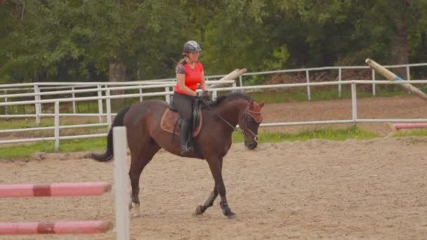 Menina montando um cavalo — Vídeo de Stock