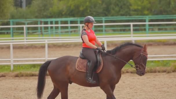 Menina montando um cavalo — Vídeo de Stock