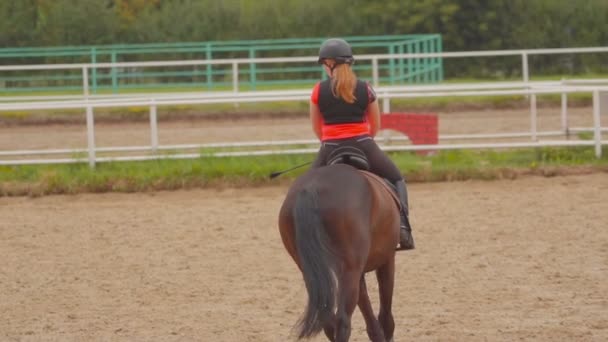 Flicka ridning en häst — Stockvideo